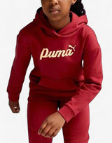 PUMA Essentials+ Script Metallic Hoodie Red Червен 140 | MegaMall.bg
