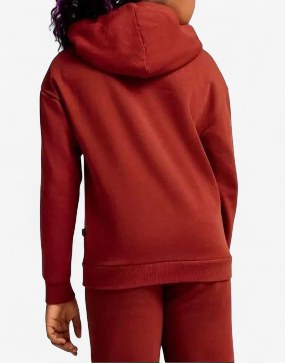 PUMA Essentials+ Script Metallic Hoodie Red | MegaMall.bg
