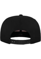 110 Fitted Snapback