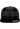 Checked Flanell Snapback