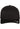 Flexfit 5 Panel