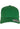 Curved Classic Snapback