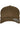 Flexfit 110 Curved Visor Snapback