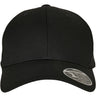 Flexfit 110 Curved Visor Snapback