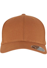 Flexfit 110 Curved Snapback